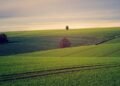 Land Investing in Foreclosures
