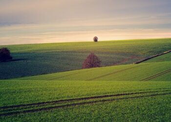 Land Investing in Foreclosures