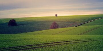 Land Investing in Foreclosures