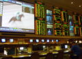 Reasons Why You Should Start Using Online Betting