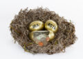 Discover the Pros and Cons of Rolling Over Your 401k to Gold