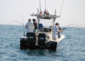 How a fishing charter in Merimbula will hook fishermen of all levels