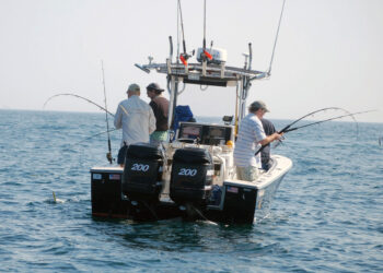 How a fishing charter in Merimbula will hook fishermen of all levels