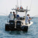 How a fishing charter in Merimbula will hook fishermen of all levels