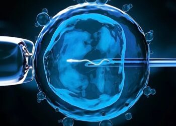 Everything You Need to Know About the ICSI Procedure